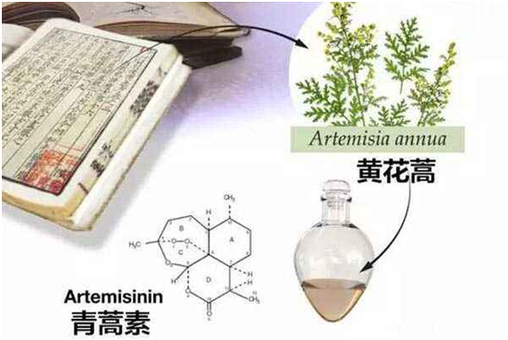 9游平台,9游(中国)：向中医药看齐，与世界共享中医药文化(图1)